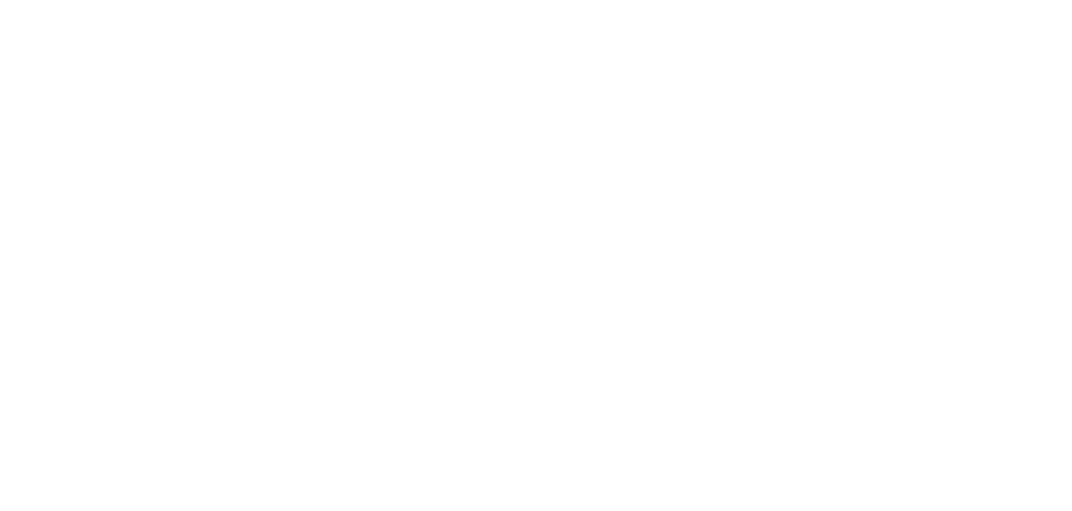 FEDESSA - Federation of European Self Storage Associations
